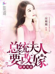 甜蜜宠恋:总统夫人要改嫁!