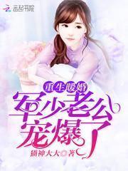 重生暖婚:军少老公宠爆了