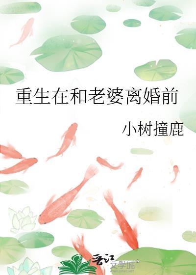 重生在和老婆离婚前