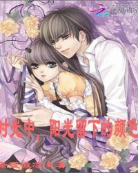 时光中,阳光留下的颜色