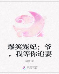 爆笑宠妃:爷,我等你追妻