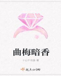 曲梅暗香