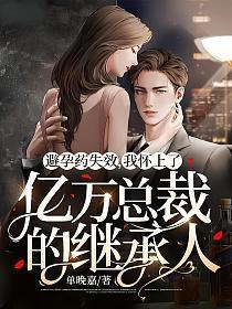 避孕药失效,我怀上了亿万总裁的继承人