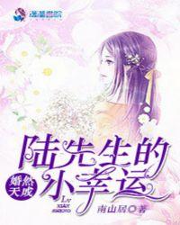 婚然天成:陆先生的小幸运