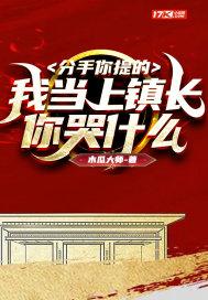 分手你提的,我当上镇长你哭什么