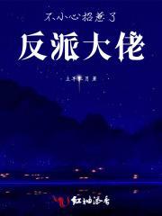 不小心招惹了反派大佬