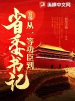 官场:从一等功臣到省委书记