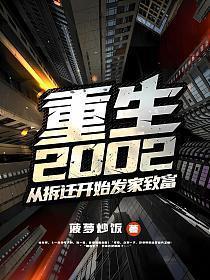 重生2002:从拆迁开始发家致富