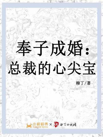 奉子成婚:总裁的心尖宝