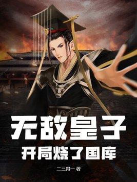 无敌皇子:开局烧了国库