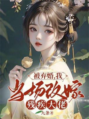 被弃婚,我当场改嫁残疾大佬