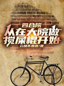 四合院:我入住后,大院乱套了