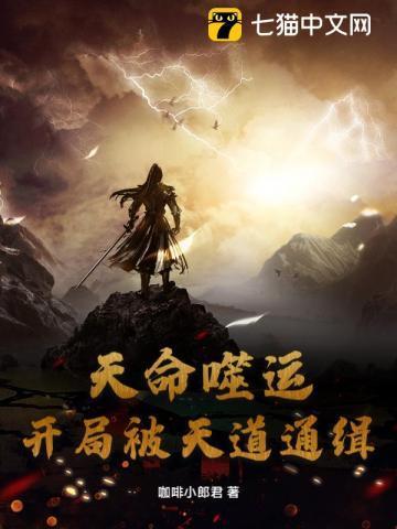 天命噬运:开局被天道通缉