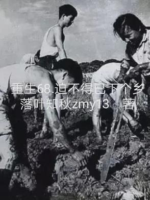 重生68,迫不得已下个乡