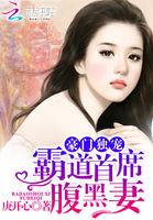 豪门独宠:霸道首席腹黑妻