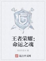 王者荣耀:命运之魂