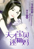 二爷请自重:天才宝贝迷糊妈