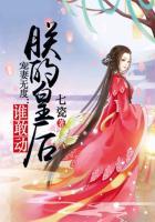 宠妻无度:谁敢动朕的皇后